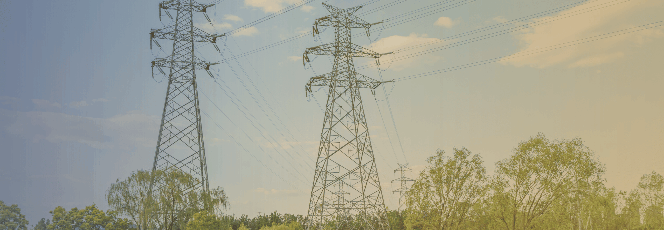 Power lines for No to Net Zero campaign